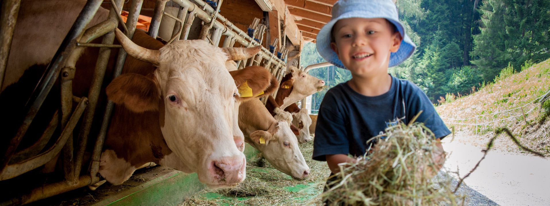 Kita-Freizeit auf dem Bauernhof: für all Kinder ein tolles Erlebnis!